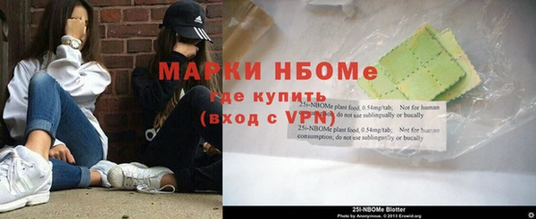 тгк Алзамай