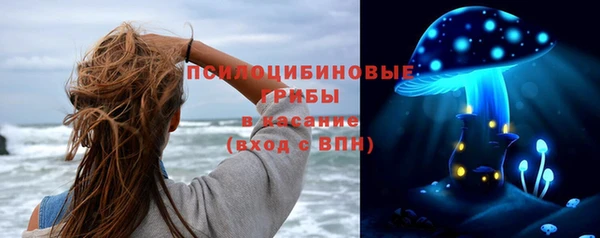 тгк Алзамай