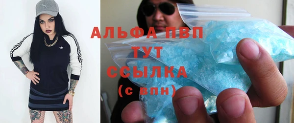 тгк Алзамай