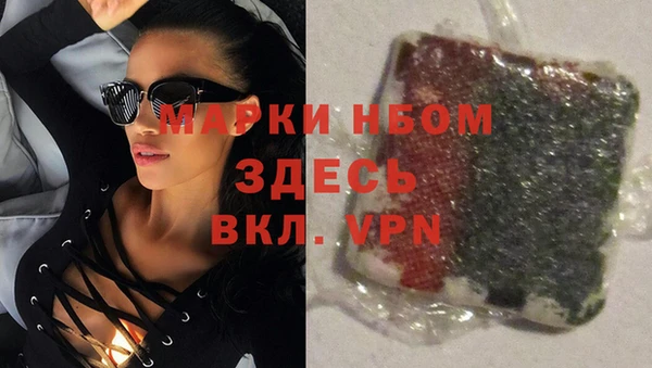 тгк Алзамай